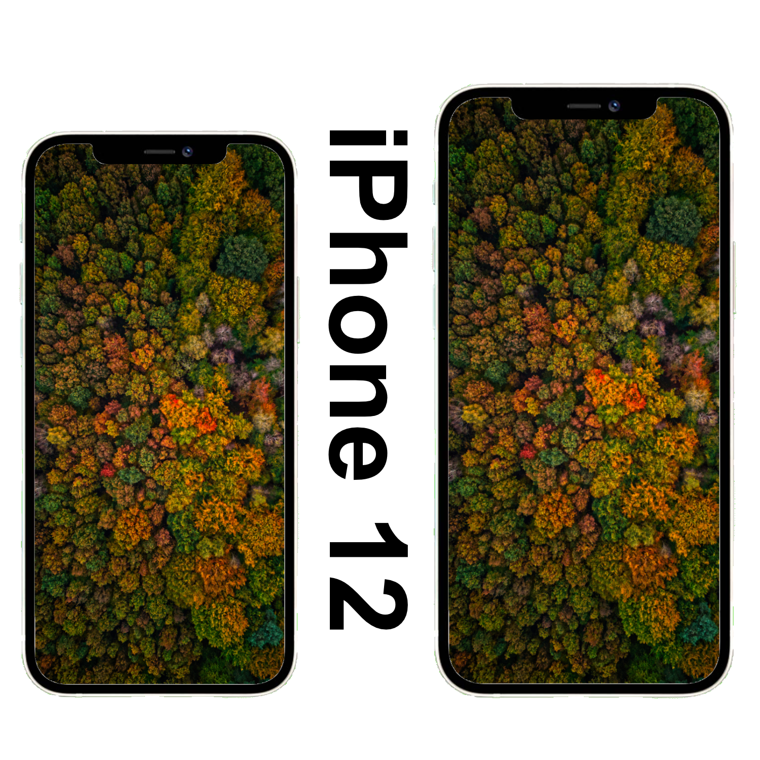 Wildenloh Herbst Wallpaper iPhone