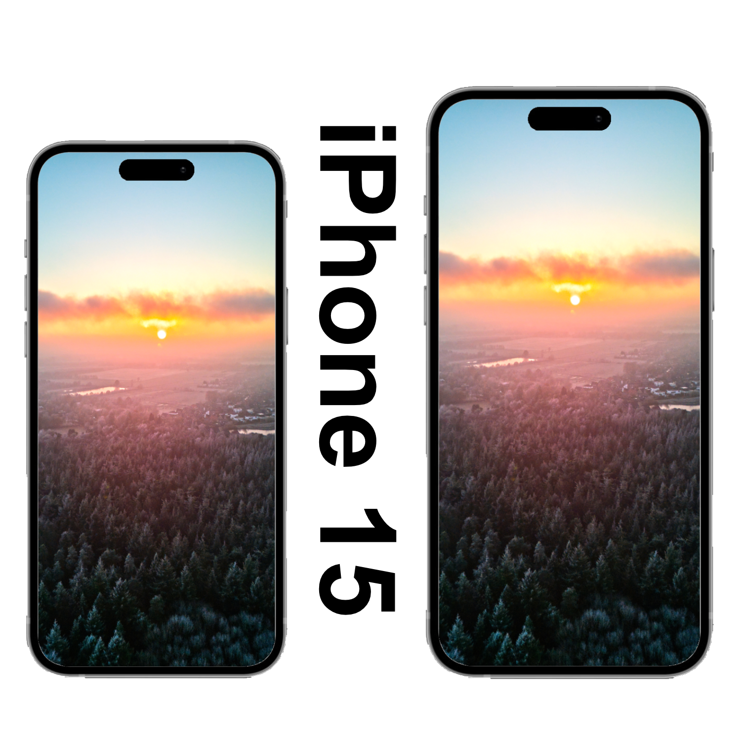 Wildenloh Sonnenaufgang im Schnee Wallpaper iPhone