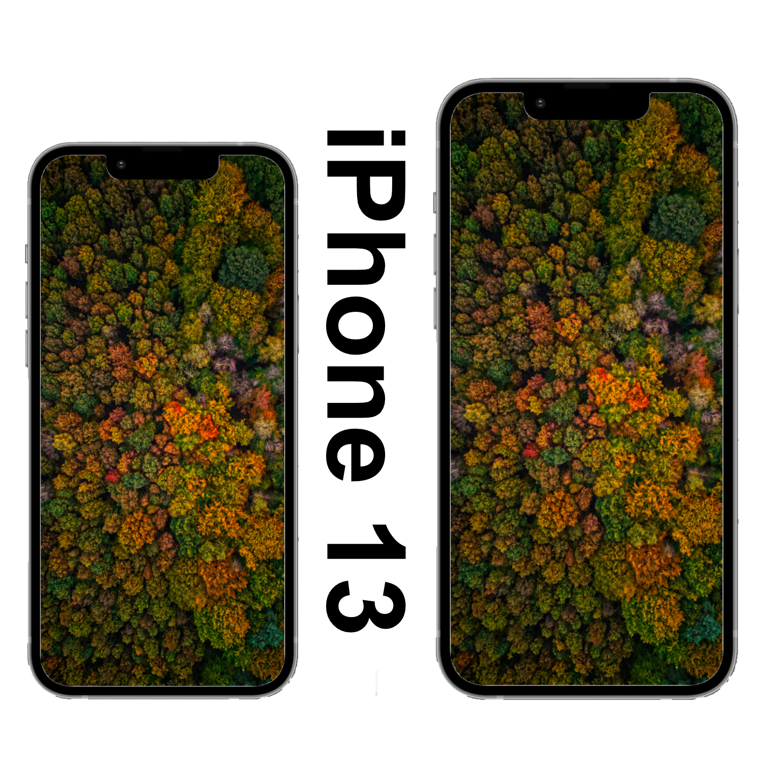 Wildenloh Herbst Wallpaper iPhone