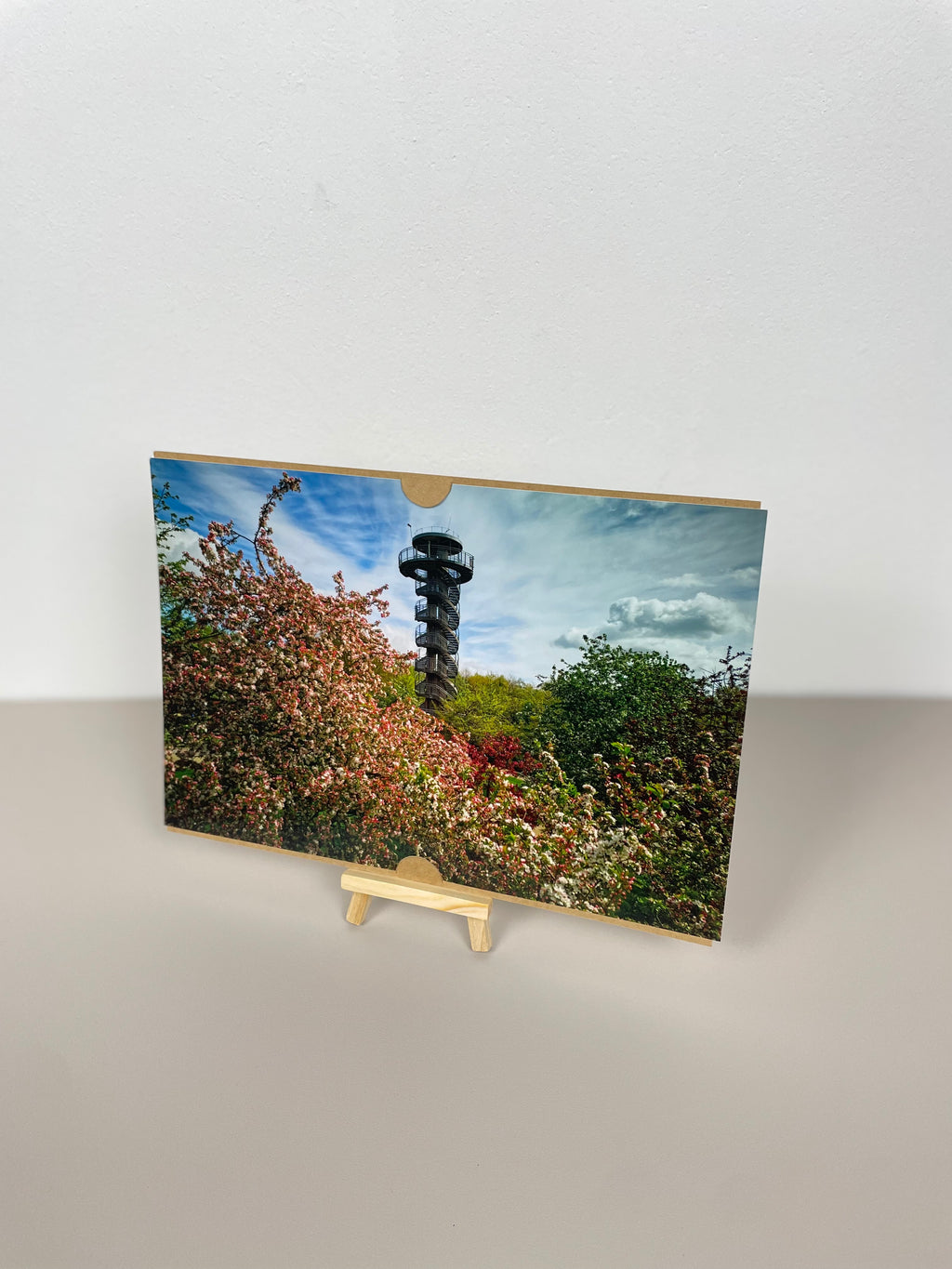 Aussichtsturm Frühling Zierapfel Nah Park der Gärten