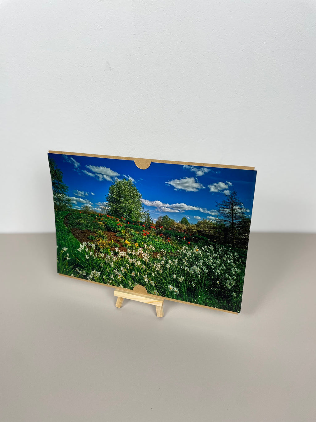 Blumenfeld Frühling Park der Gärten