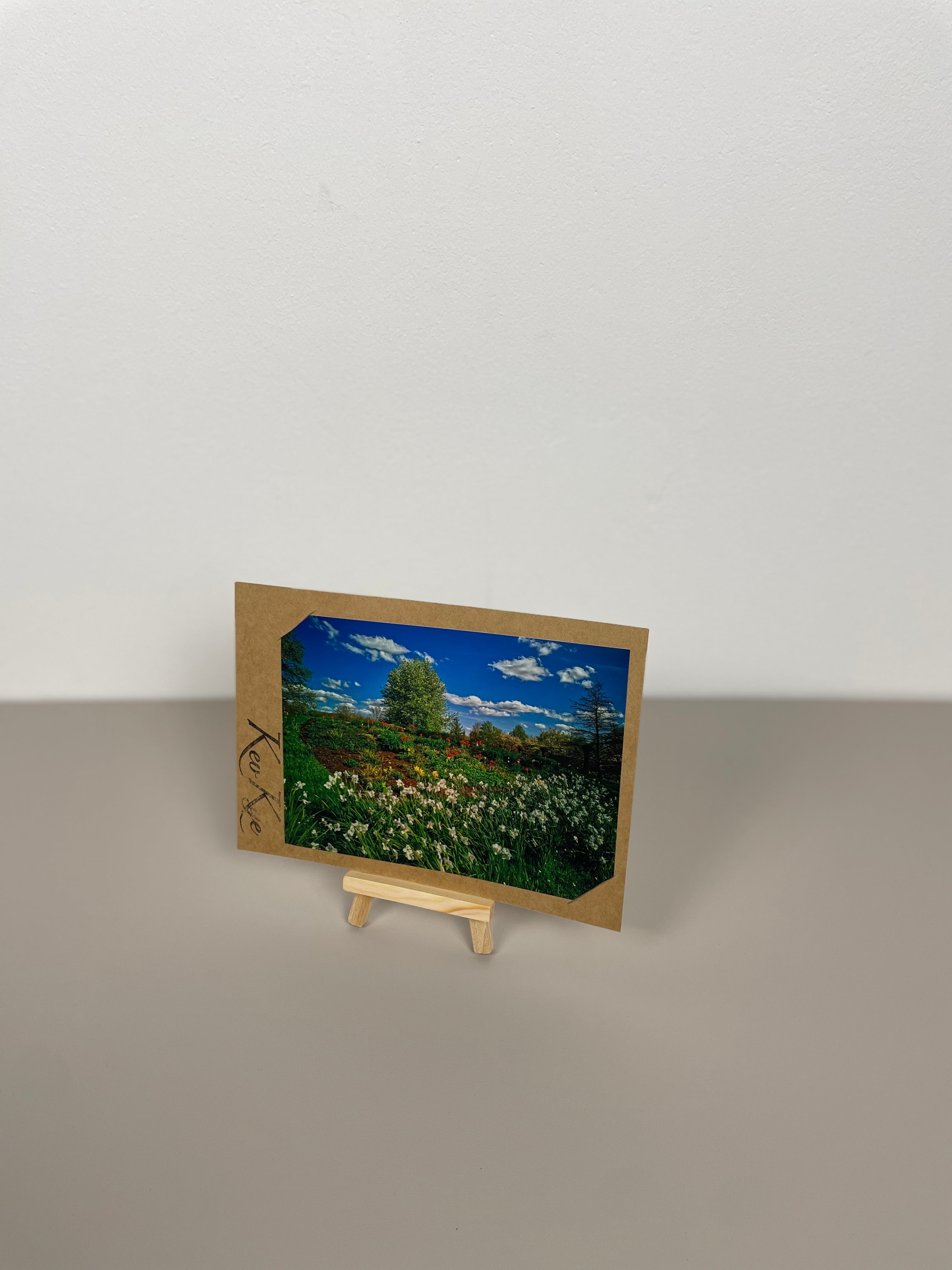 Blumenfeld Frühling Park der Gärten