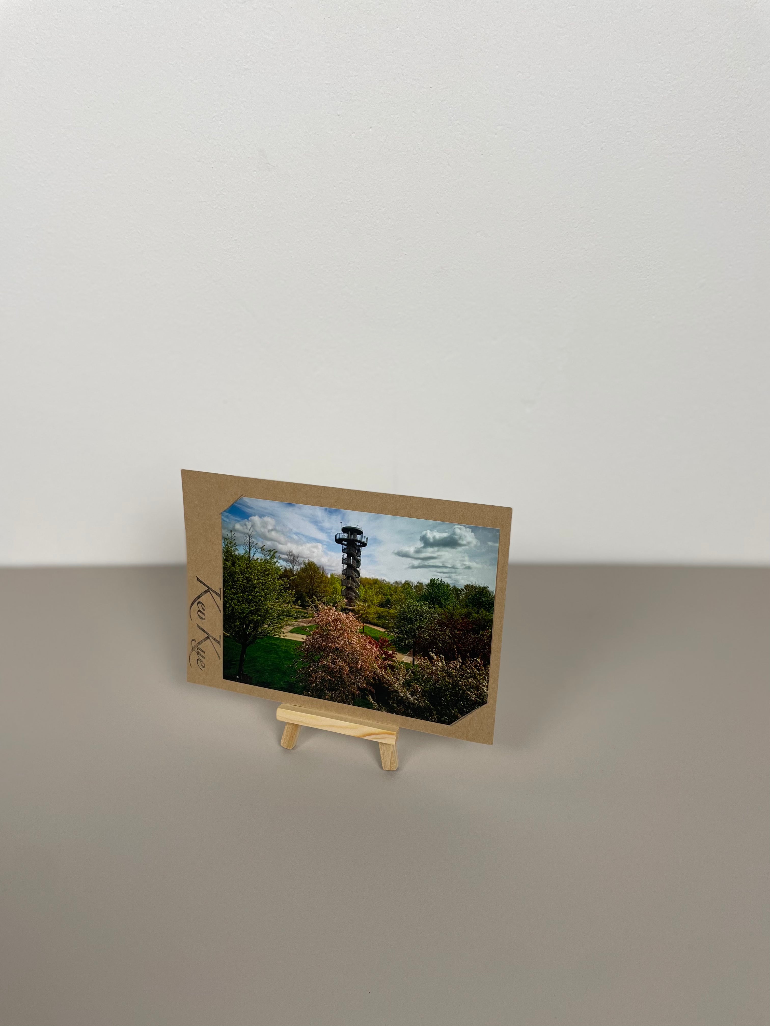 Aussichtsturm Frühling Zierapfel weit Park der Gärten